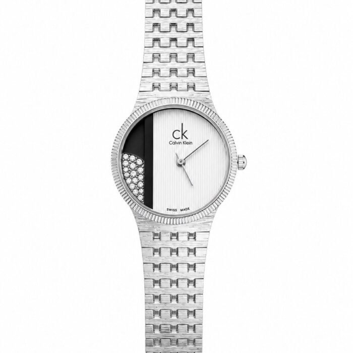 Calvin Klein Classic Steel / Silver